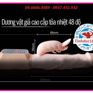 Dương Vật Cao Cấp Tỏa Nhiệt US43 2
