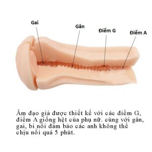 am dao gia gan tuong manmiao x3 giai toa sinh ly nam 5
