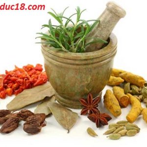 Thảo Dược Cường Dương Ngựa Thái 6