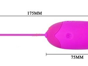 trung rung tinh yeu dieu khien tu xa kich thich điểm g