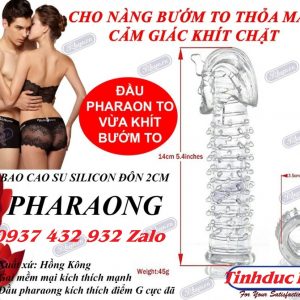 Bao Cao Su đôn dên Napoleon II 6