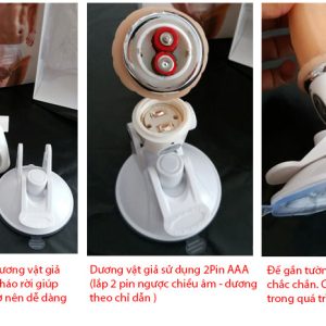 duong vat gia gan tuong nalone rung da nang 1