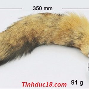 kích thích hậu môn inox đuôi chồn 2