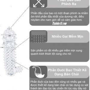 Bao Cao Su Donzen Gai Nhánh Không Rung 3