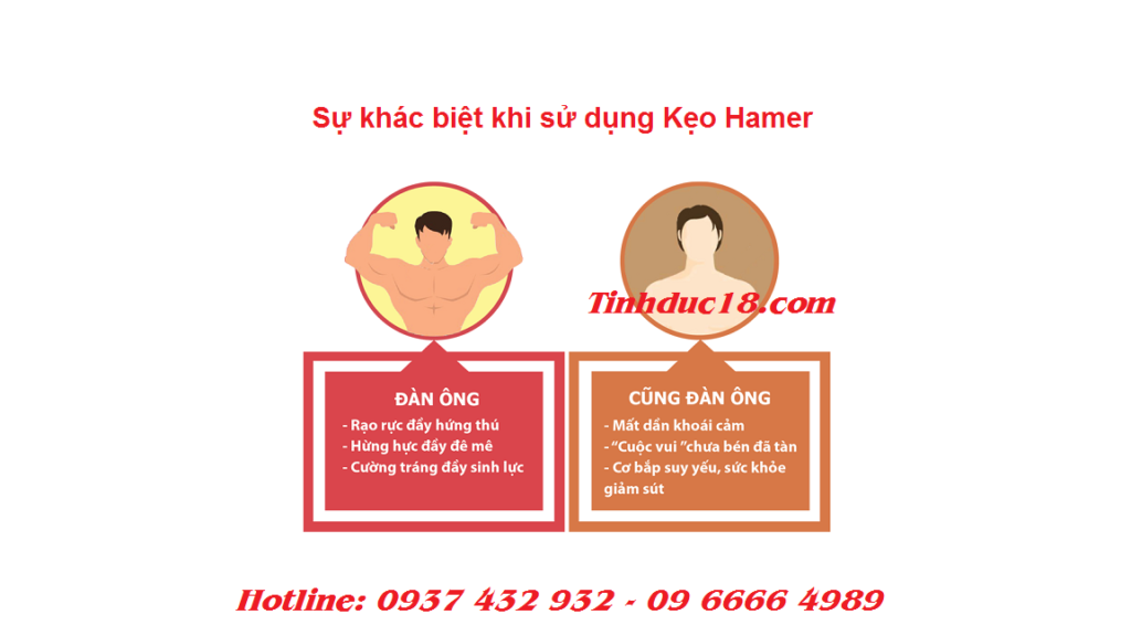 Kẹo-Sâm-Hamer-tăng-cường-sinh-lực-nam-giới-1
