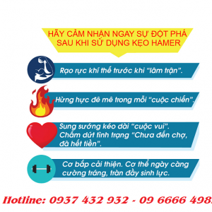 Kẹo Sâm Hamer tăng cường sinh lực nam giới 3