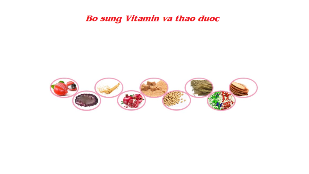 Kẹo-Sâm-Hamer-tăng-cường-sinh-lực-nam-giới-4