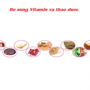 Kẹo Sâm Hamer tăng cường sinh lực nam giới 4