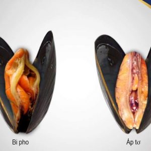 Thuốc Đặt Se Khít Âm Đạo Thái Lan 4