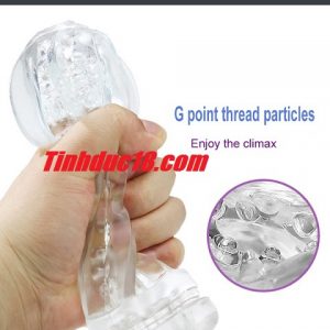 coc thu dam trong suot snail japan 4