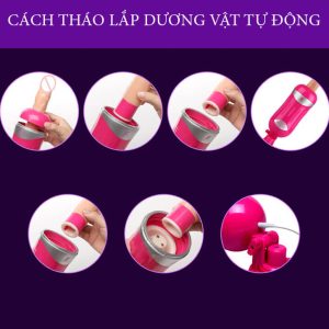 duong vat gia easy love gan tuong rung thut tu dong