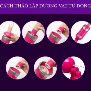 duong vat gia lam tinh tu dong cach thao lap