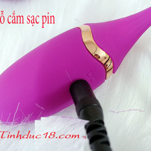 trung rung duoi ca dieu khien tu xa 12 che do 4