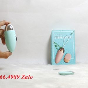 trung rung tinh yeu dieu khien tu xa vibrator 3