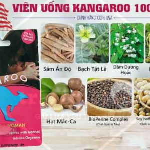 thuoc kich duc nu kangaroo dang vien 2
