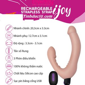 duong vat lovetoy 2 dau dieu khien tu xa