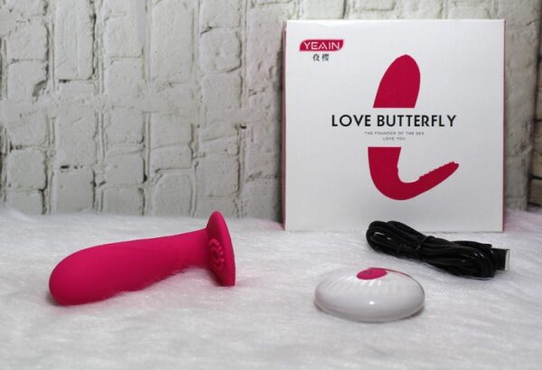 trung rung love butterfly tao nhiet dieu khien tu xa 3