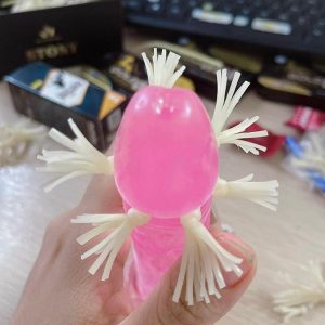 vong deo duong vat rau rong 4 bi 1