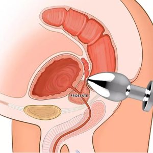 phich cam hau mon inox dieu khien tu xa 10 che do 5