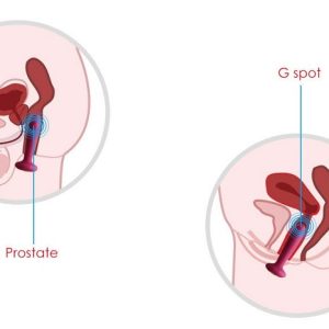 do choi hau mon svakom primo co suoi am dieu khien tu xa 6