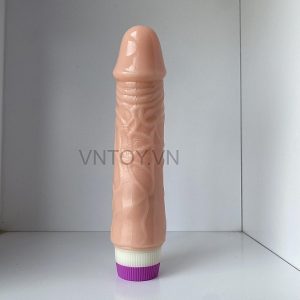 Duong vat gia silicone Baile cam tay da nang rung nhieu che do 1 1