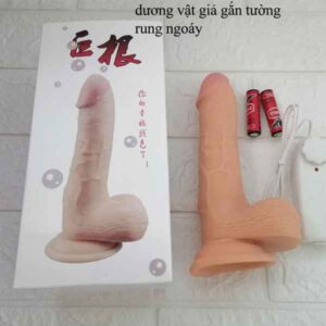 duong vat gia gan tuong rung ngoay chat lieu mem mai 1