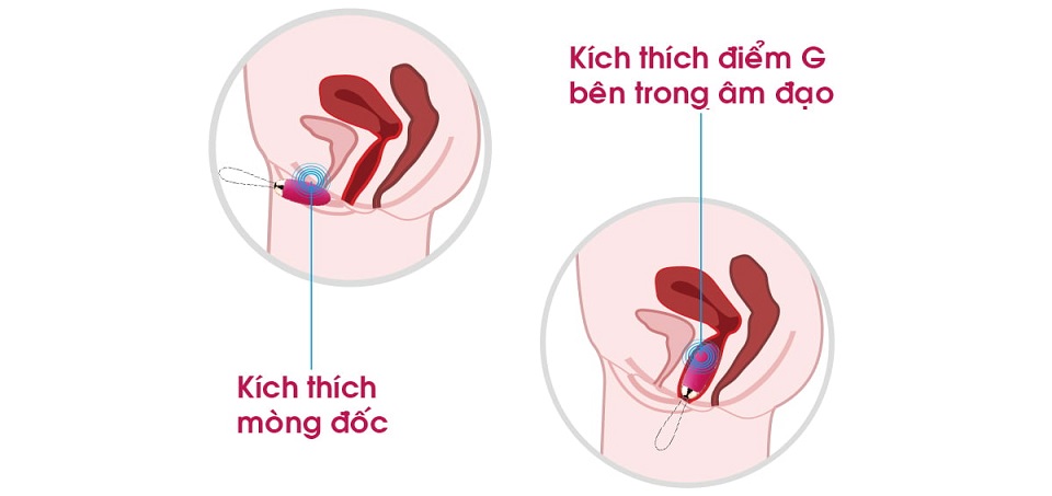 trung rung svakom elva dieu khien tu xa 11