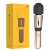 Chày Rung Leten Lightning AV Stick 3 Nguỵ Trang Micro Karaoke