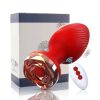 Phích Cấm Hậu Môn Cao Cấp Điều Khiển Từ Xa